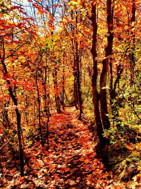 #therearealwaysnewtrailstoexplore #dawns