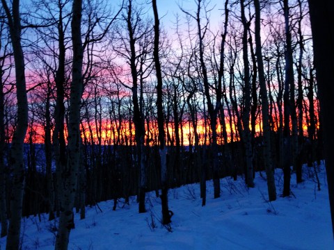 Rise Before the Sun and Ski!